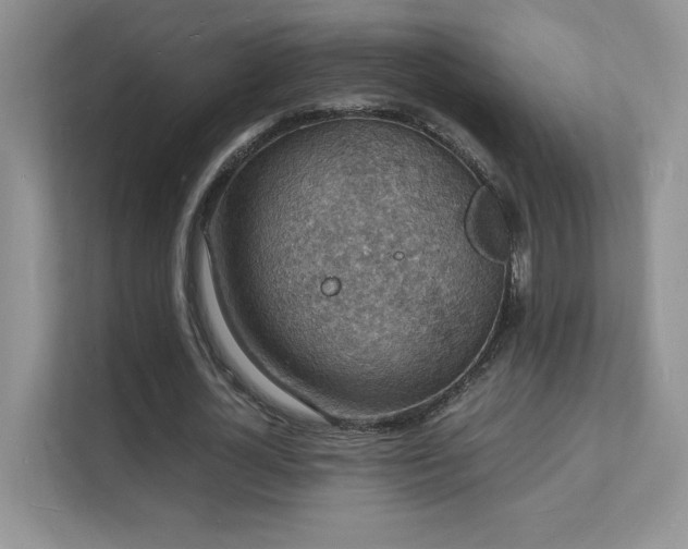 X0000112150724200908071115