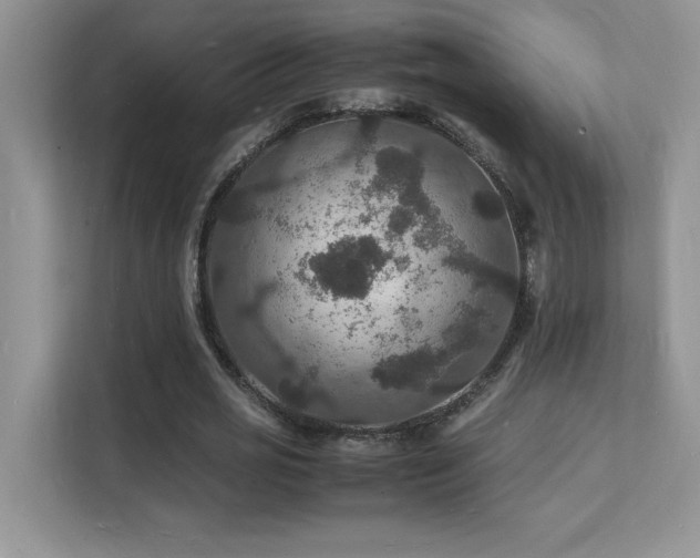 X0000112150725200908071115