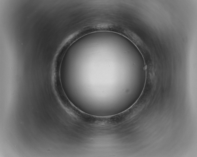 X0000112150728200908071115