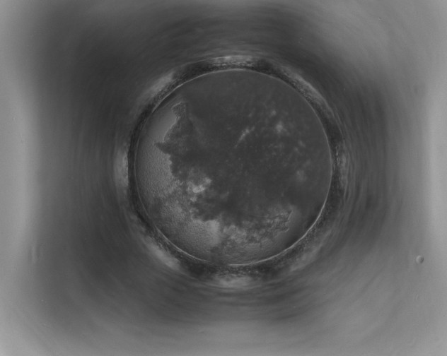 X0000112150729200908071115