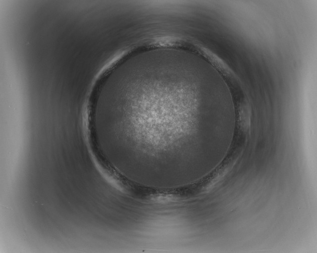 X0000112150730200908071115