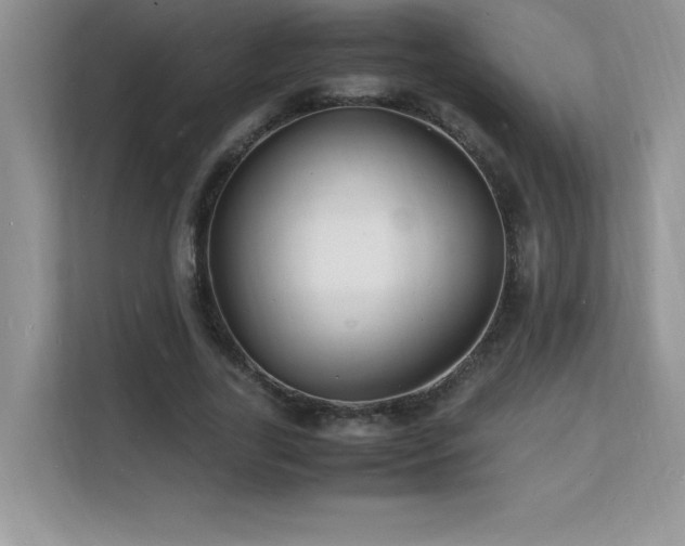 X0000112150731200908071115