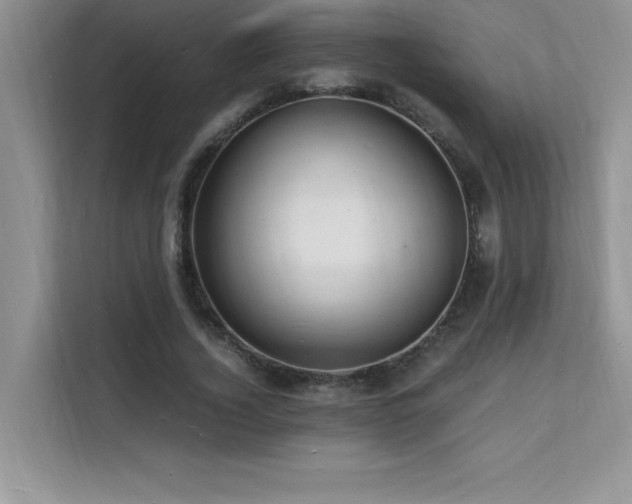 X0000112150732200908071115