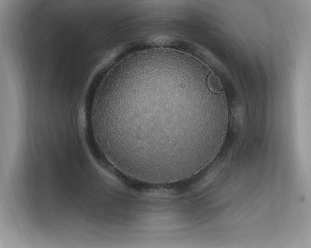 X0000112150734200908071115