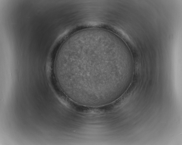 X0000112150736200908071115