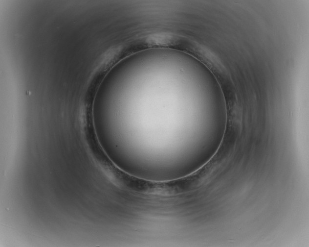 X0000112150738200908071115