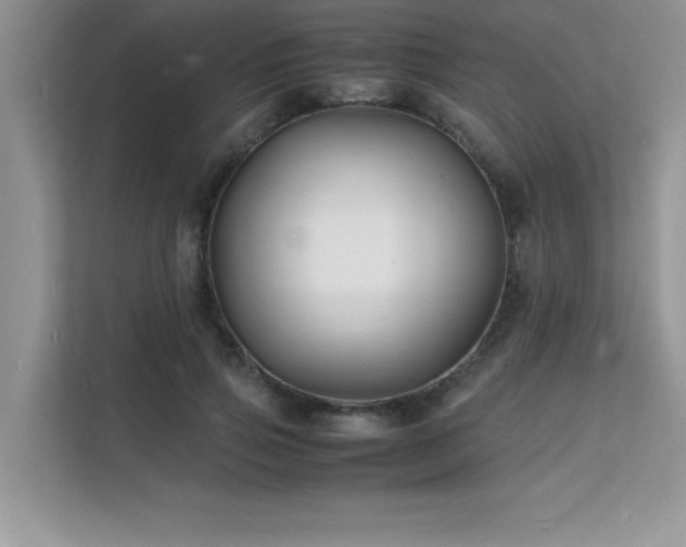 X0000112150741200908071115