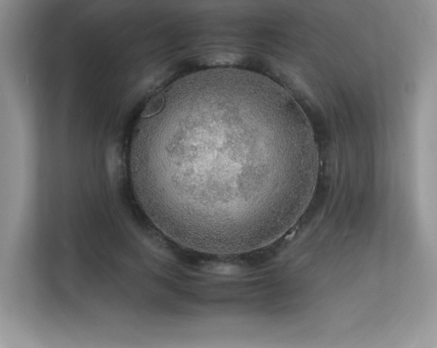 X0000112150743200908071115