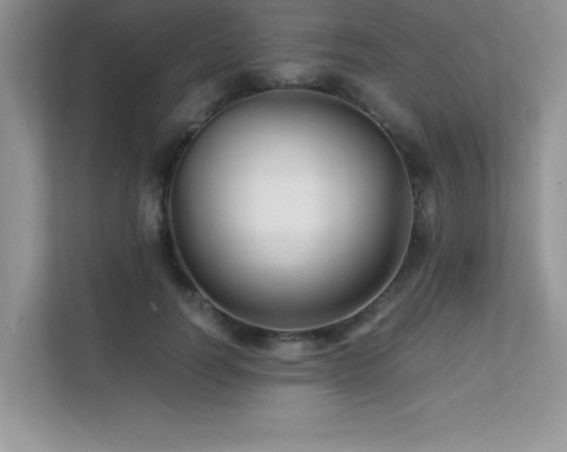 X0000112150746200908071115