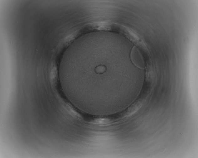 X0000112150748200908071115