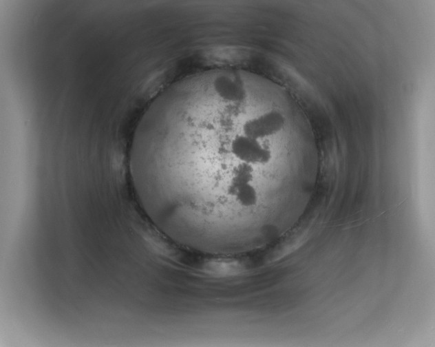 X0000112150749200908071116