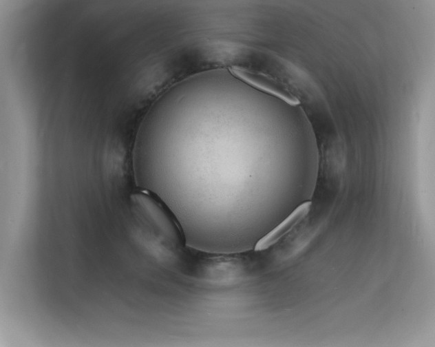 X0000112150750200908071116