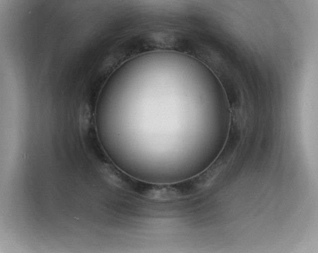 X0000112150752200908071116