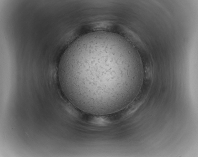 X0000112150753200908071116