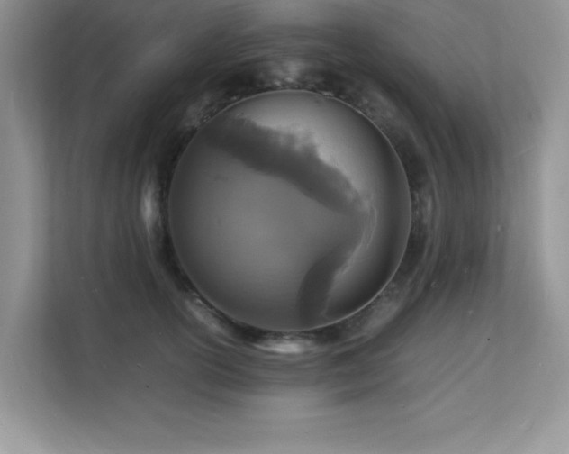 X0000112150754200908071116