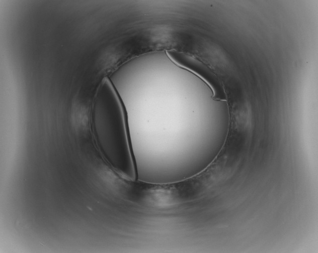 X0000112150756200908071116
