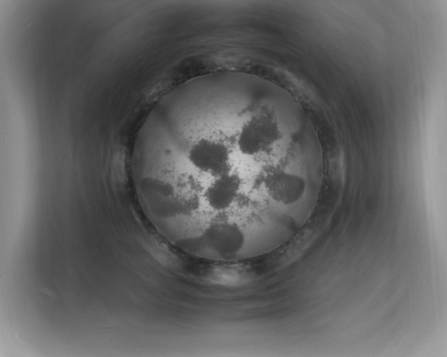 X0000112150757200908071116