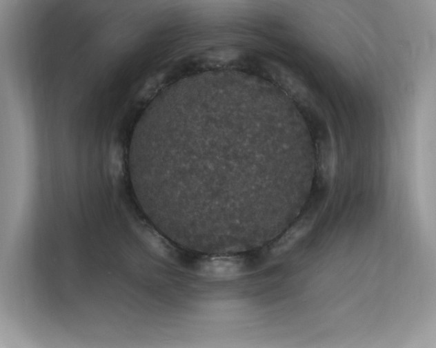 X0000112150758200908071116