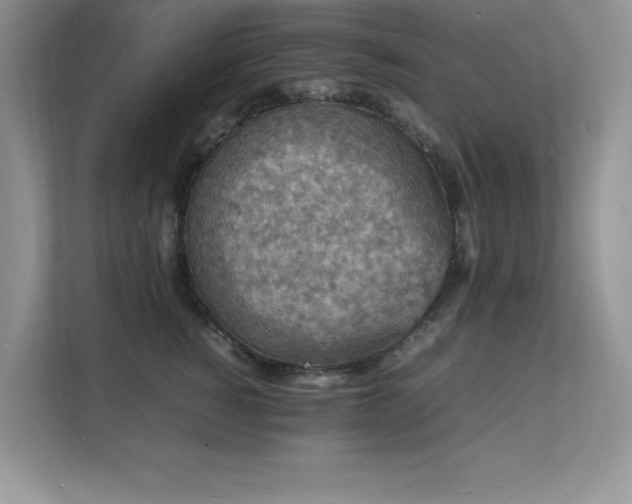 X0000112150760200908071116