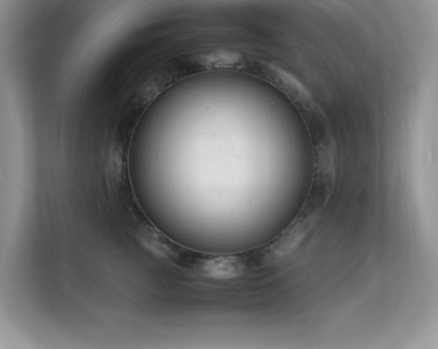 X0000112150761200908071116