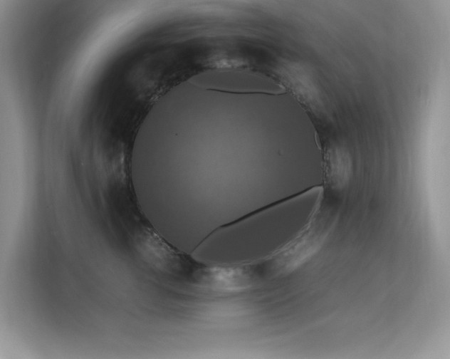 X0000112150762200908071116
