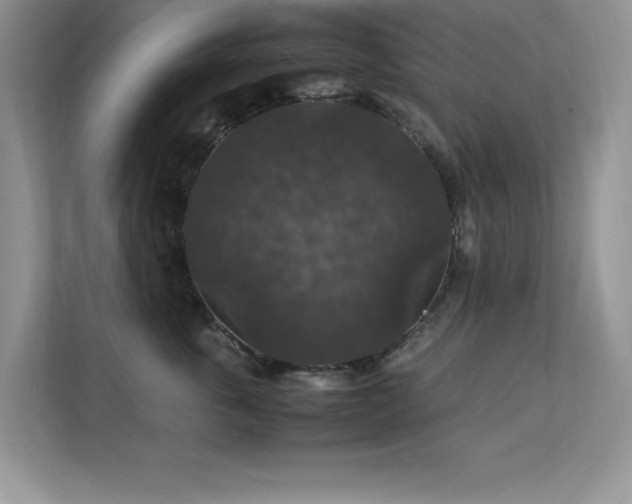 X0000112150763200908071116