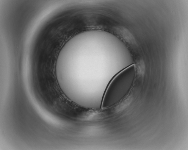 X0000112150764200908071116
