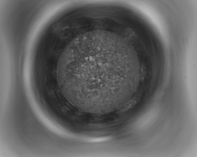 X0000112150765200908071116