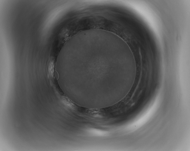 X0000112150767200908071116