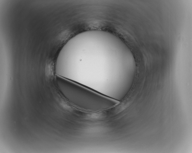 X0000112150768200908071116