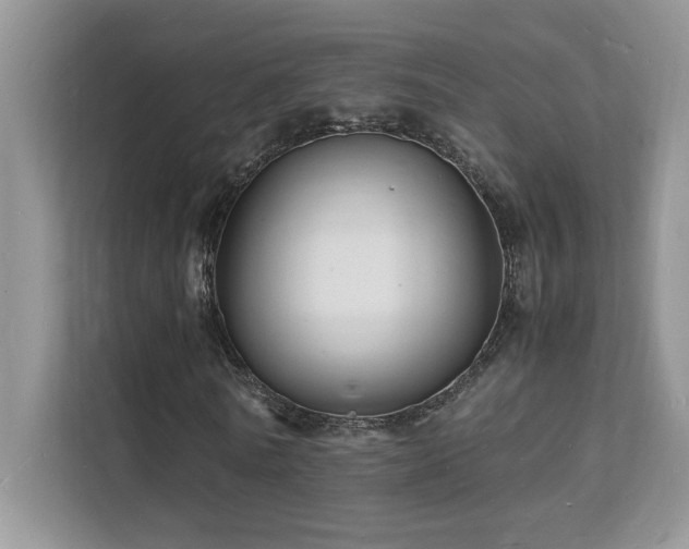 X0000112150770200908071115