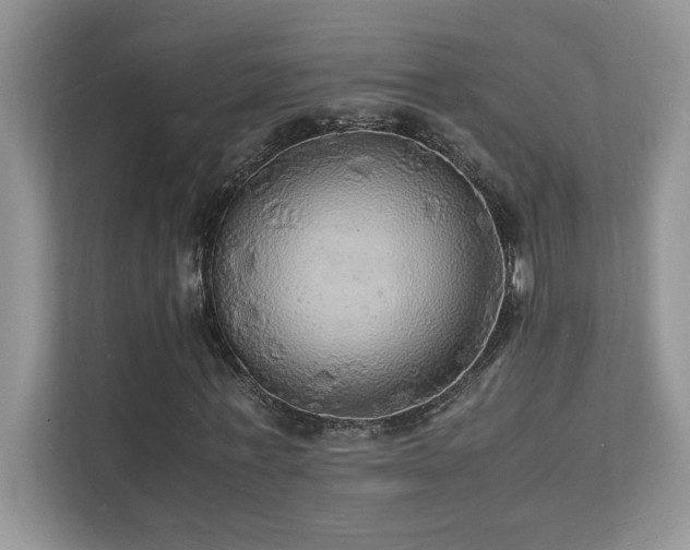 X0000112150771200908071115