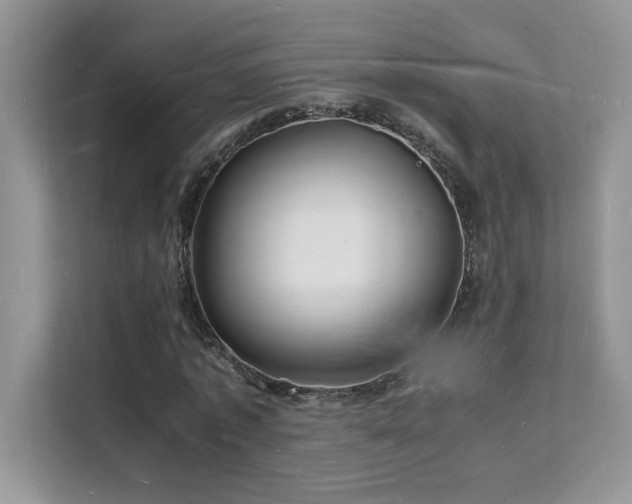 X0000112150773200908071115
