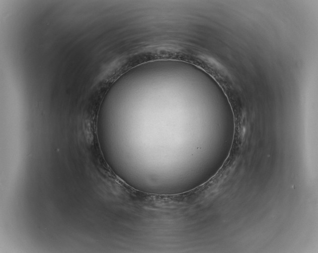 X0000112150774200908071115