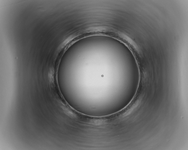 X0000112150778200908071115