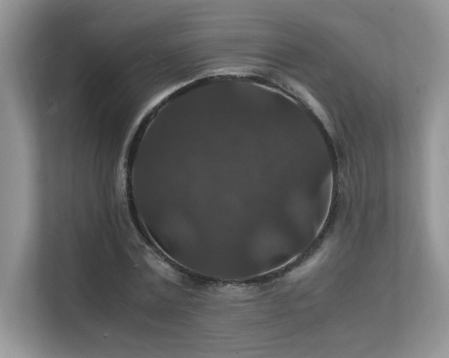 X0000112150779200908071115