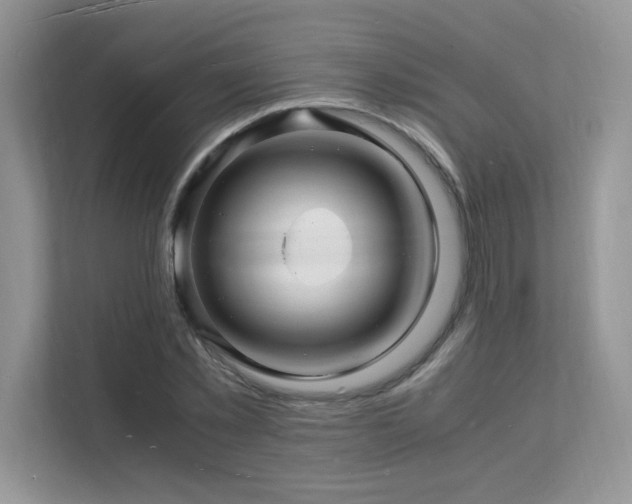 X0000112150781200908071115