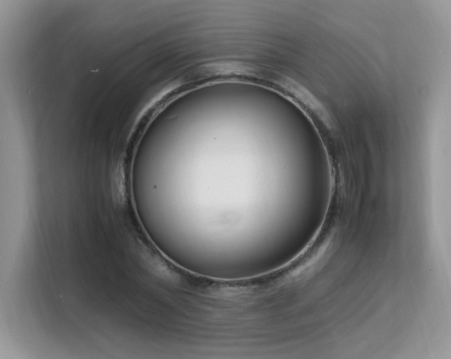 X0000112150782200908071115