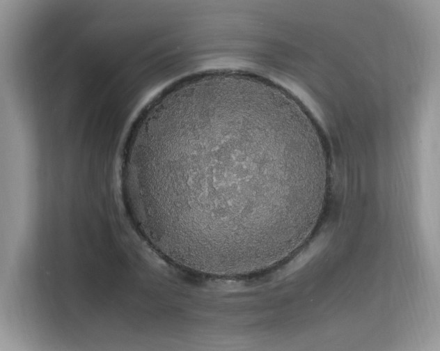 X0000112150783200908071115