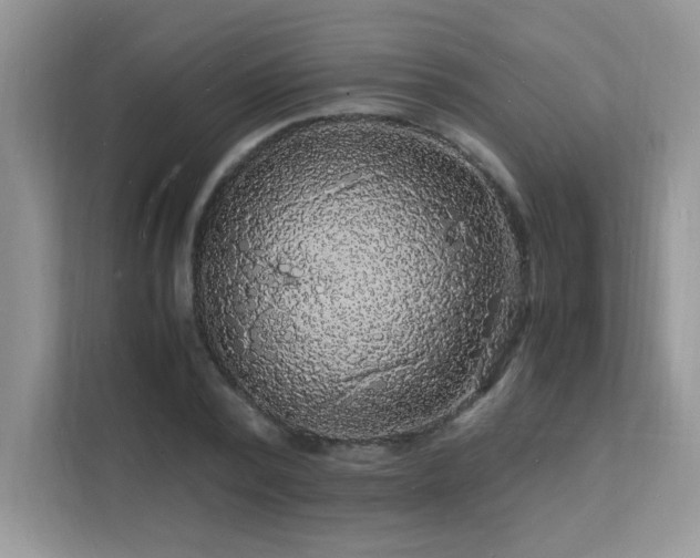 X0000112150784200908071115