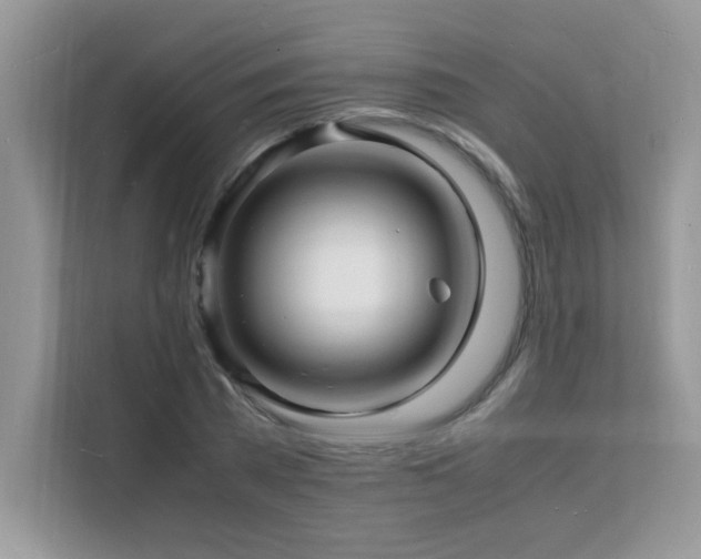 X0000112150785200908071115