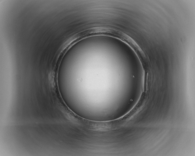 X0000112150786200908071115