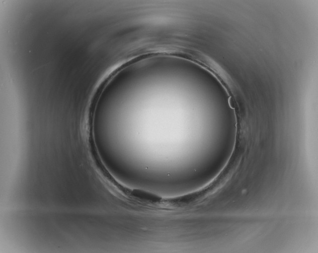 X0000112150787200908071115