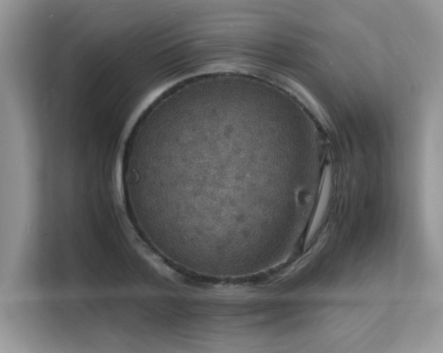 X0000112150788200908071115