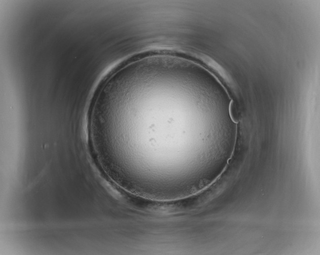 X0000112150791200908071115