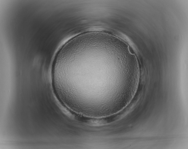 X0000112150795200908071115