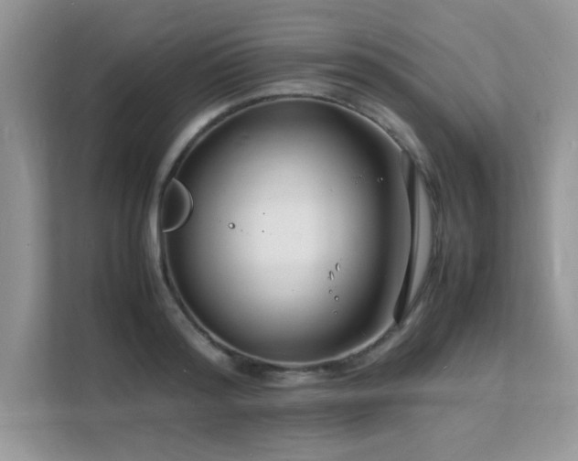 X0000112150796200908071115