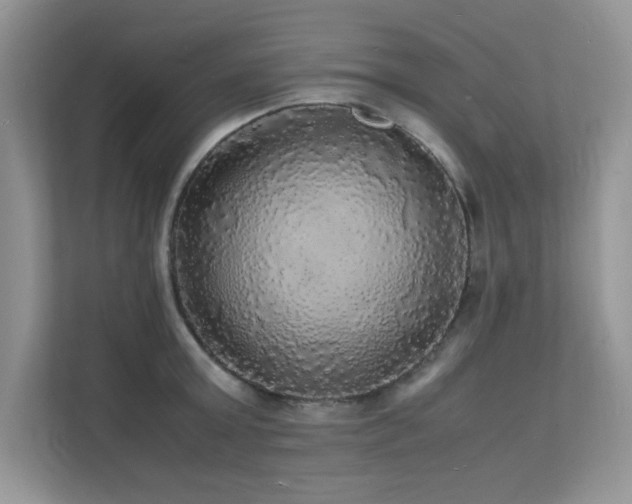 X0000112150803200908071115
