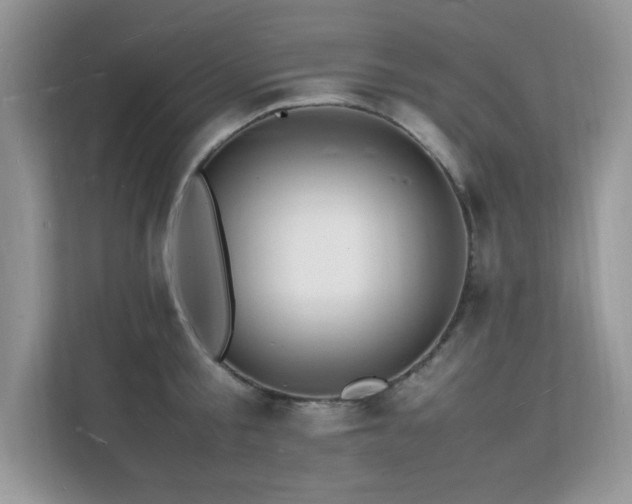 X0000112150805200908071115
