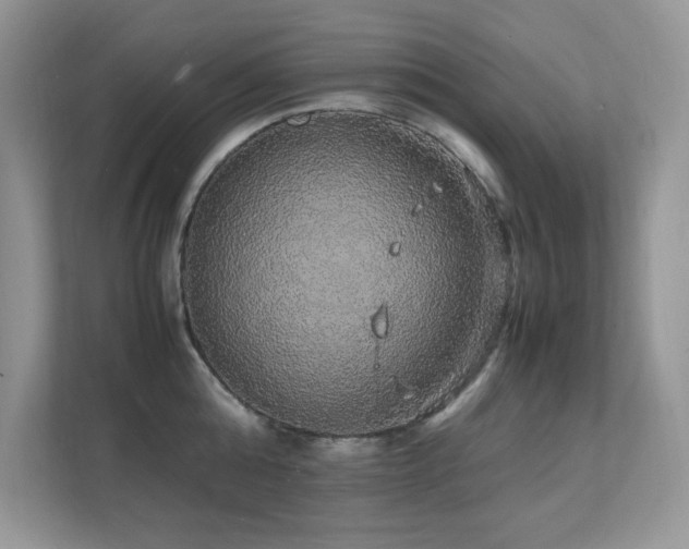 X0000112150808200908071115